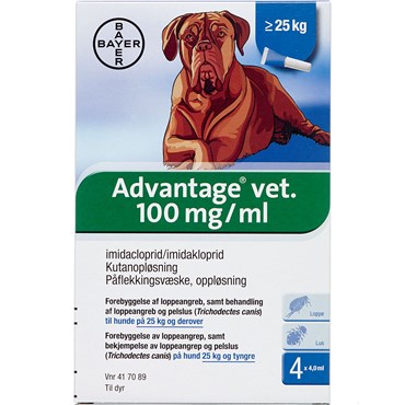 gaffel direktør fast Advantage Vet. til hund 100/ml 16ml Kutanopløsning | Apopro.dk